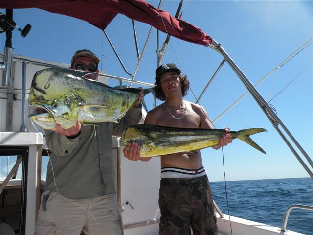 http://www.sandokanpesca.com.ar/imagenes/dorados_(Small).JPG
