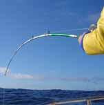 Pesca embarcado  Mar del plata