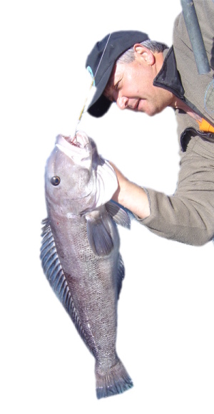 pesca embarcado