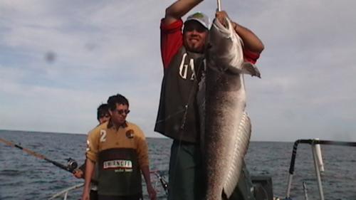 GIGANTES DEL MAR