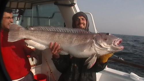 GIGANTES DEL MAR